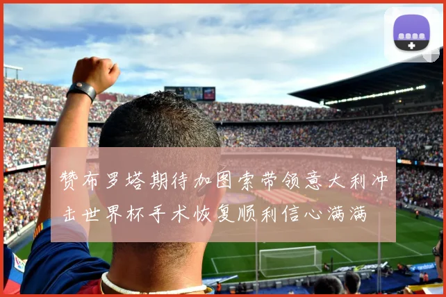 赞布罗塔期待加图索带领意大利冲击世界杯手术恢复顺利信心满满