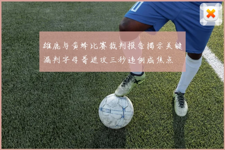 雄鹿与黄蜂比赛裁判报告揭示关键漏判字母哥进攻三秒违例成焦点