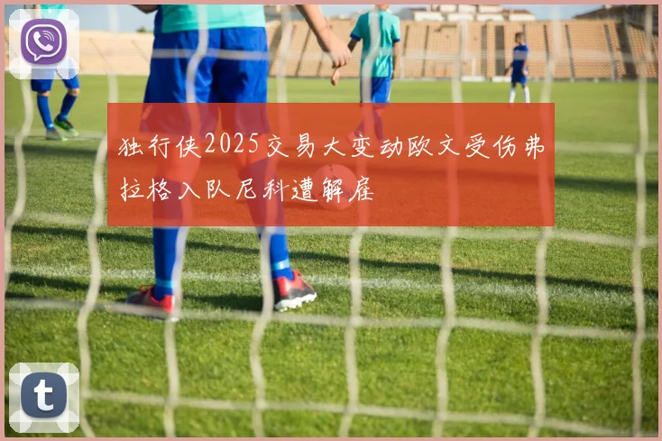 独行侠2025交易大变动欧文受伤弗拉格入队尼科遭解雇